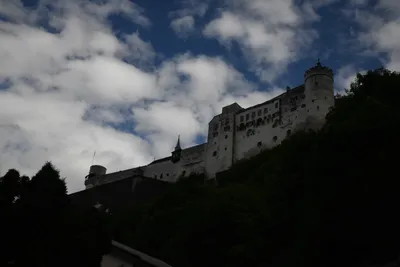 DSC_6358 (Large).JPG